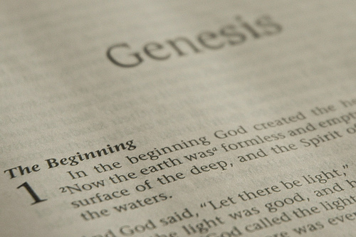 Revealing the truth about Genesis 1 – 50 by Denise N. Fyffe